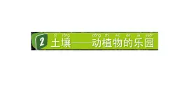 2024教科版科學(xué)二年級上冊第一單元我們的地球家園2土壤——動植物的樂園教學(xué)課件