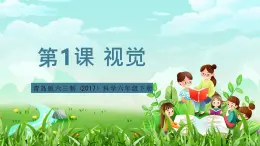 青島版六三制（2017）科學六年級下冊 第1課《視覺》課件+教案+素材
