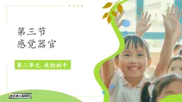 小學科學冀人版（2024）一年級上冊第3課 感覺器官 課件