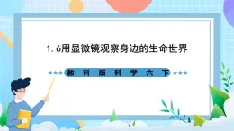 教科版科學(xué)六下1.6《用顯微鏡觀察身邊的生命世界（二）》課件+教案+練習(xí)+素材