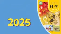 7《動物的眼睛》（課件）2024-2025學(xué)年科學(xué)一年級下冊（青島版2024）
