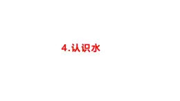 小學科學新湘科版一年級下冊第二單元第四課《認識水》教學課件（2025春）