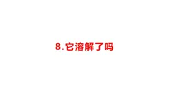 小學科學新湘科版一年級下冊第三單元第八課《它溶解了嗎》教學課件（2025春）