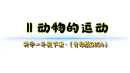小學(xué)科學(xué)新青島版（六三制）一年級下冊第三單元第十一課《動物的運動》教學(xué)課件（2025春）