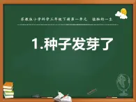 蘇教版三年級(jí)科學(xué)下冊(cè)第一單元第1課《種子發(fā)芽了》第二課時(shí)課件
