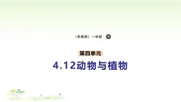 4.12《動(dòng)物與植物》課件 蘇教版（2024）一年級科學(xué)下冊
