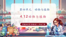 【核心素養(yǎng)優(yōu)質(zhì)課】蘇教版一年級下冊科學(xué)4.12《動(dòng)物與植物》（教學(xué)課件+同步教案含反思）