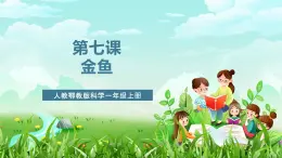 人教鄂教版科學一年級上冊第七課《金魚》課件+教案+任務單