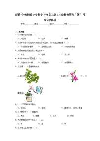教科版（2024）一年級(jí)上冊(cè)（2024）給植物畫張“像”精品復(fù)習(xí)練習(xí)題