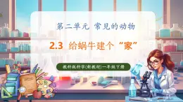【核心素养优质课】教科版一年级下册科学2.3 给蜗牛建个“家”（教学课件+同步教案）