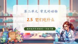 【核心素养优质课】教科版一年级下册科学2.5 它们吃什么（教学课件+同步教案）
