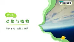 第12課 動(dòng)物與植物 課件 小學(xué)科學(xué)蘇教版（2024）一年級下冊第四單元