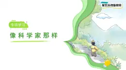 專項(xiàng)學(xué)習(xí) 像科學(xué)家那樣 課件 小學(xué)科學(xué)蘇教版（2024）一年級下冊教案