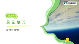 第四單元 動(dòng)物與植物 單元復(fù)習(xí)課件 小學(xué)科學(xué)蘇教版（2024）一年級下冊
