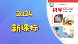 11 整理收納大比拼 課件 科學冀人版（2024）一年級上冊