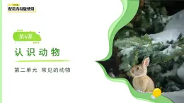 第6課 認(rèn)識動物 課件 小學(xué)科學(xué)青島版六三制（2024）一年級下冊