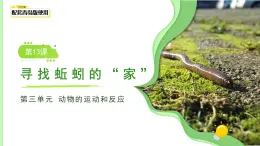第13課 尋找蚯蚓的“家”課件 小學(xué)科學(xué)青島版六三制（2024）一年級下冊第三單元