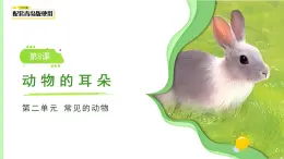 第8課 動物的耳朵 課件 小學(xué)科學(xué)青島版六三制（2024）一年級下冊第二單元