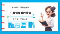小學(xué)科學(xué)教科版（2024）一年級(jí)上冊(cè)我們知道的植物備課ppt課件