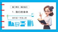 小學(xué)科學(xué)教科版（2024）一年級上冊（2024）我們的身體備課ppt課件