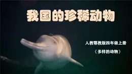 人教鄂教版科學(xué)六年級上冊《我國的珍稀動物》2025（ 新制作 ）課件