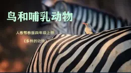 人教鄂教版小學(xué)科學(xué)四上1.1《鳥和哺乳動物》課件