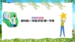 教科版（2024）一年級上冊科學(xué)《我們知道的植物》課件+教學(xué)設(shè)計