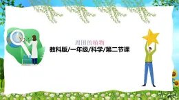 教科版（2024）一年級上冊科學(xué)《觀察植物》課件+教學(xué)設(shè)計