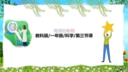 教科版（2024）一年級上冊科學(xué)《植物長在哪里》課件+教學(xué)設(shè)計