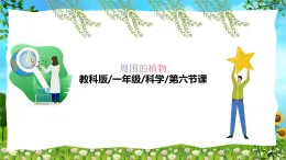教科版（2024）一年級上冊科學《校園里的植物》課件+教學設(shè)計
