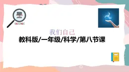 教科版（2024）一年級上冊科學《發(fā)現(xiàn)生長》課件+教學設(shè)計