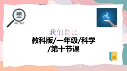 教科版（2024）一年級上冊科學《氣味告訴我們》課件+教學設(shè)計