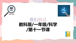 教科版（2024）一年級上冊科學《通過感官來發(fā)現(xiàn)》課件+教學設(shè)計