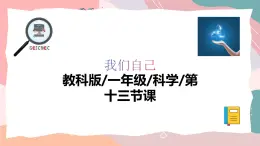 教科版（2024）一年級上冊科學《制作“時間膠囊”》課件+教學設(shè)計