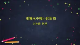 教科版科學六年級上冊 1.6《觀察水中微小的生物》（課件+教案+任務(wù)單+練習）