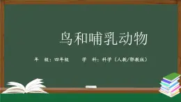 2025年秋人教鄂教版四年級科學(xué)上冊 1.1《鳥和哺乳動物》 教學(xué)設(shè)計+課件ppt+任務(wù)單+練習(xí)題01