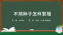 2025年秋人教鄂教版四年級科學(xué)上冊 2.5《不用種子怎樣繁殖》 （教案+課件+任務(wù)單+練習(xí)題）