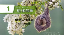 1.1動(dòng)物的家課件2025新制作