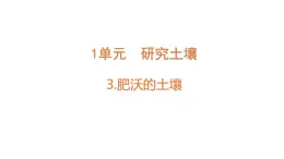 苏教版（2024）科学三年级上册 1.3 肥沃的土壤（课件）
