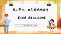 科學(xué)一年級(jí)上冊(cè)（2024）我們?cè)鯓又澜虒W(xué)ppt課件