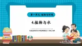 【新教材核心素养】青岛版科学五四制二年级上册1.4《植物与水》教学课件+教学设计+分层练习含答案