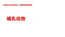 2025年秋湘科版三年級科學(xué)上冊 3-14 哺乳動物（課件+教案含練習(xí)及答案）