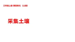 2025年秋湘科版三年級科學(xué)上冊 4-16 采集土壤（課件+教案含練習(xí)及答案）