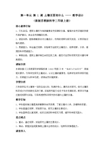 蘇教版（2024）三年級上冊（2024）1 土壤里面有什么教學(xué)設(shè)計(jì)