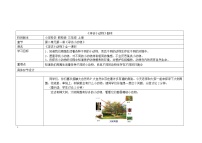 教科版三年級(jí)上冊(cè)1、尋訪小動(dòng)物教案