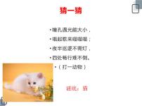 小學(xué)科學(xué)粵教粵科版 (2017)三年級(jí)上冊(cè)3 壁虎與小貓獲獎(jiǎng)ppt課件