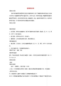 小學科學青島版 (五四制)四年級上冊第一單元 植物的生活1 植物的身體教案及反思