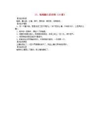 青島版 (六三制)六年級上冊23、密切聯(lián)系的生物界教案