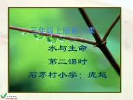 冀教版（三起）科學(xué)三年級上冊8《水與生命》課件