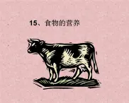 冀教版（三起）科學(xué)三年級上冊15、食物的營養(yǎng) 課件
